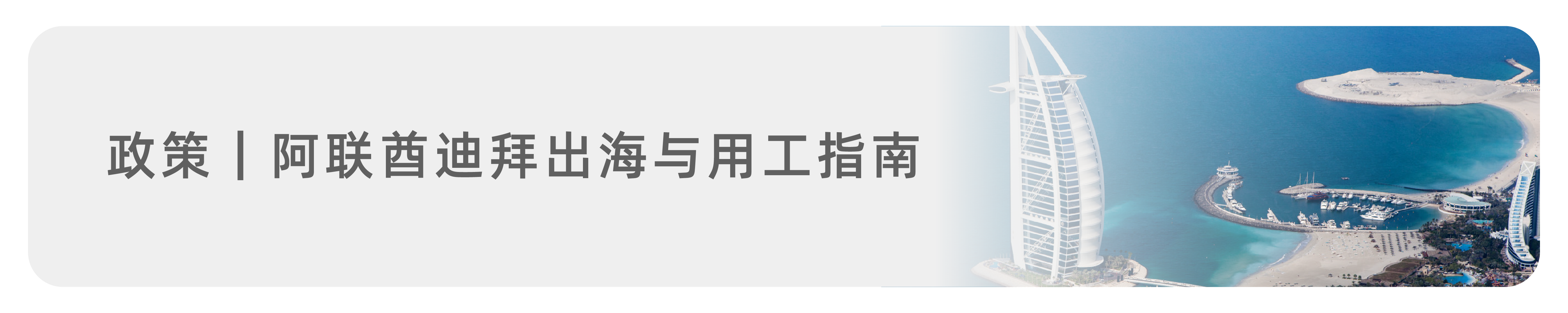 d53675159d14a7cfbf52c4418cbdb98.png