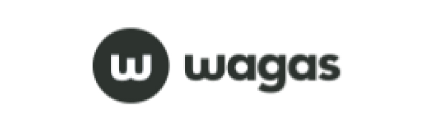 a1_logo43.jpg