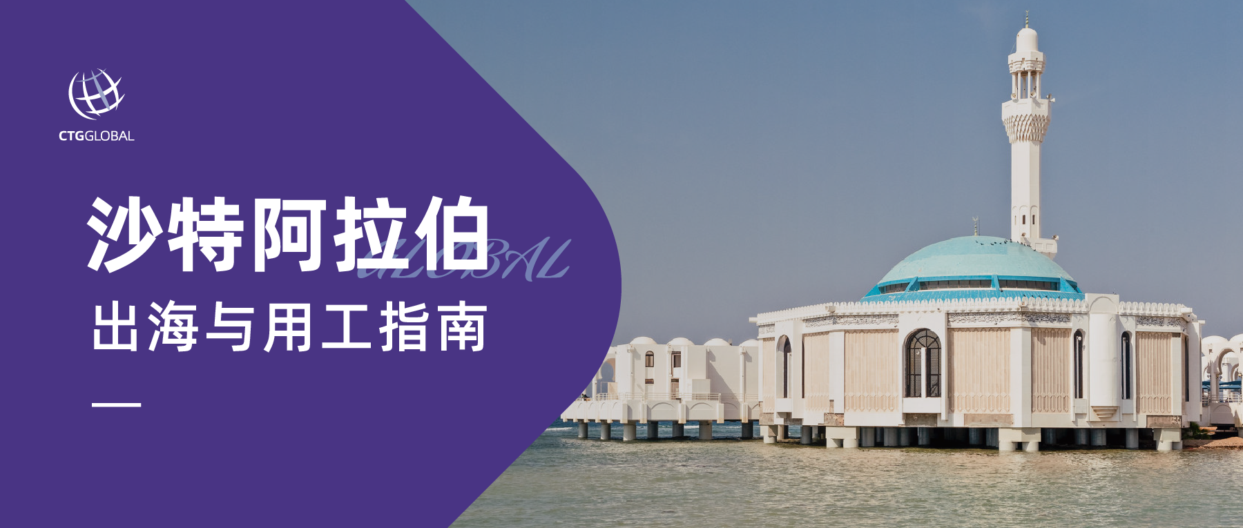 海外政策微信封面-21.png